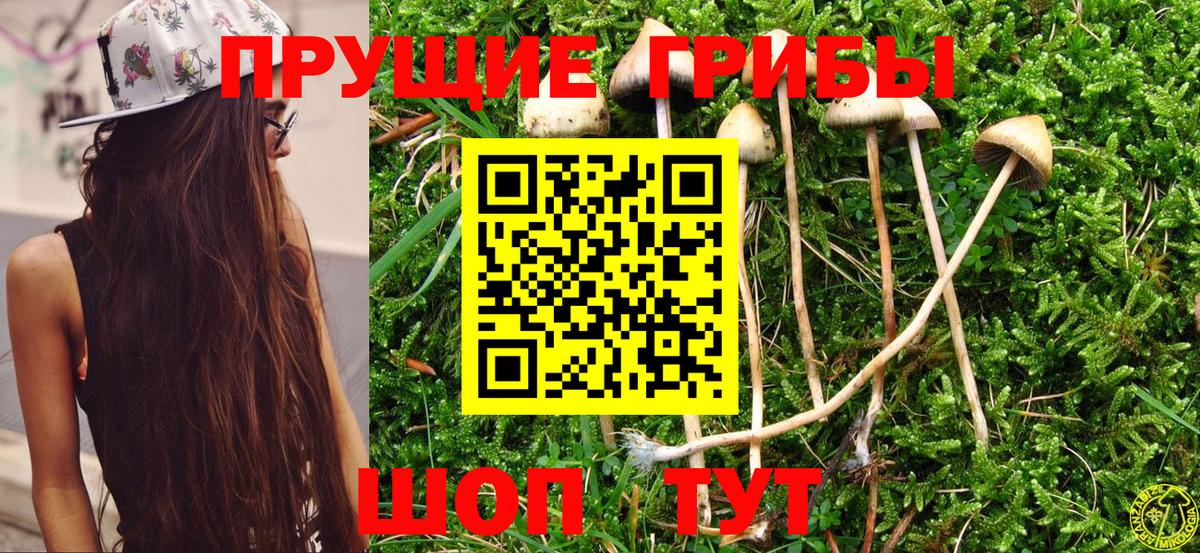 Псилоцибиновые грибы Cubensis  Вход с VPN  Псилоцибиновые грибы Psilocybine cubensis  Ликино-Дулёво 